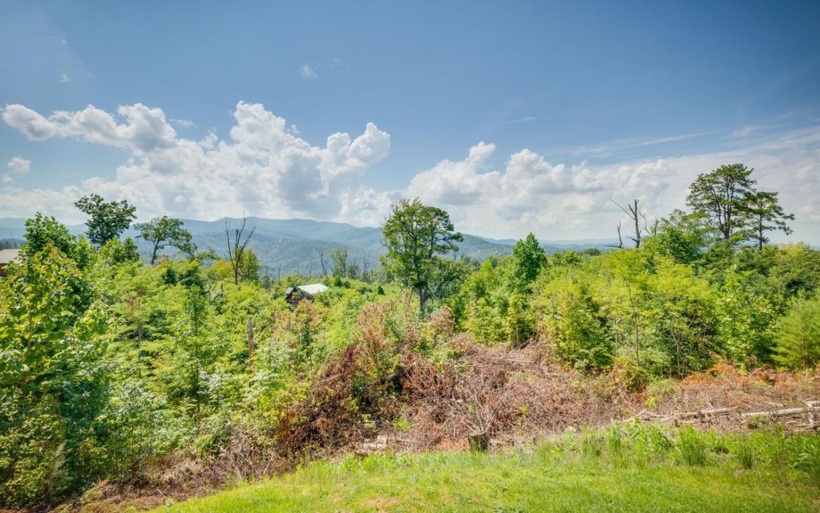 Lifes A Bear Villa Gatlinburg Exterior photo